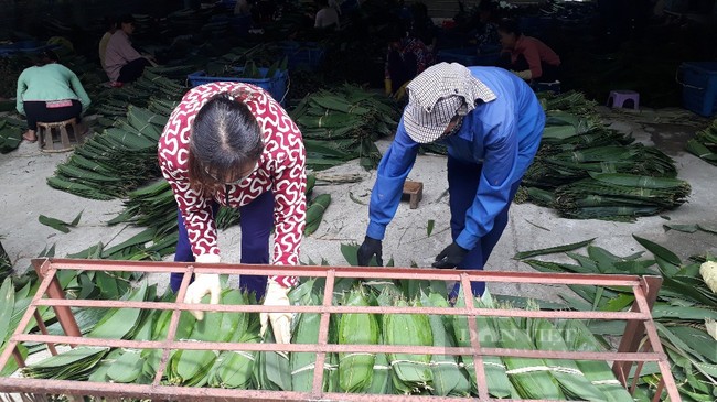 lá giang xuất khẩu